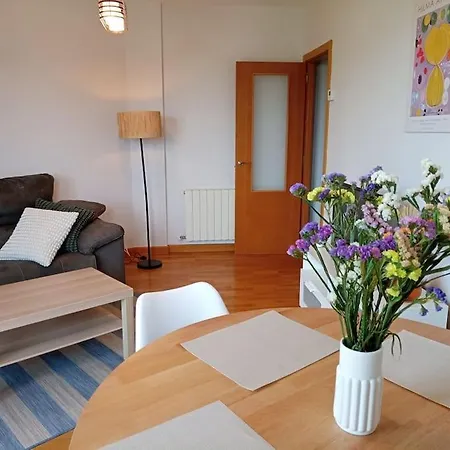 Apartamento Apartamento Con Terraza C08a02